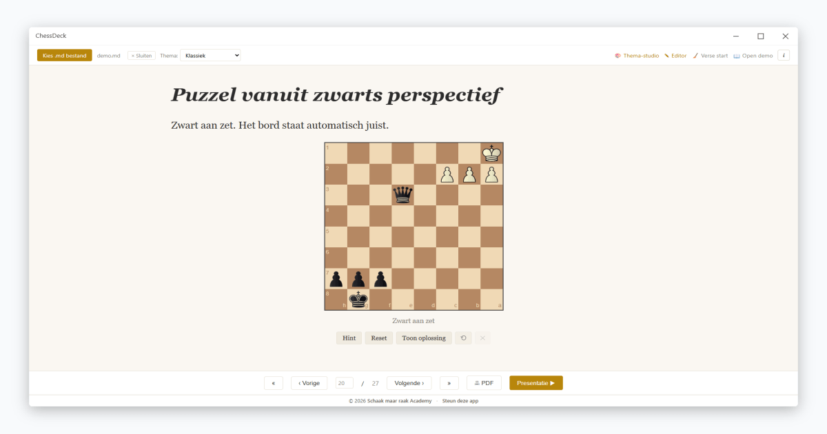 Slide 20 — Puzzel vanuit zwarts perspectief